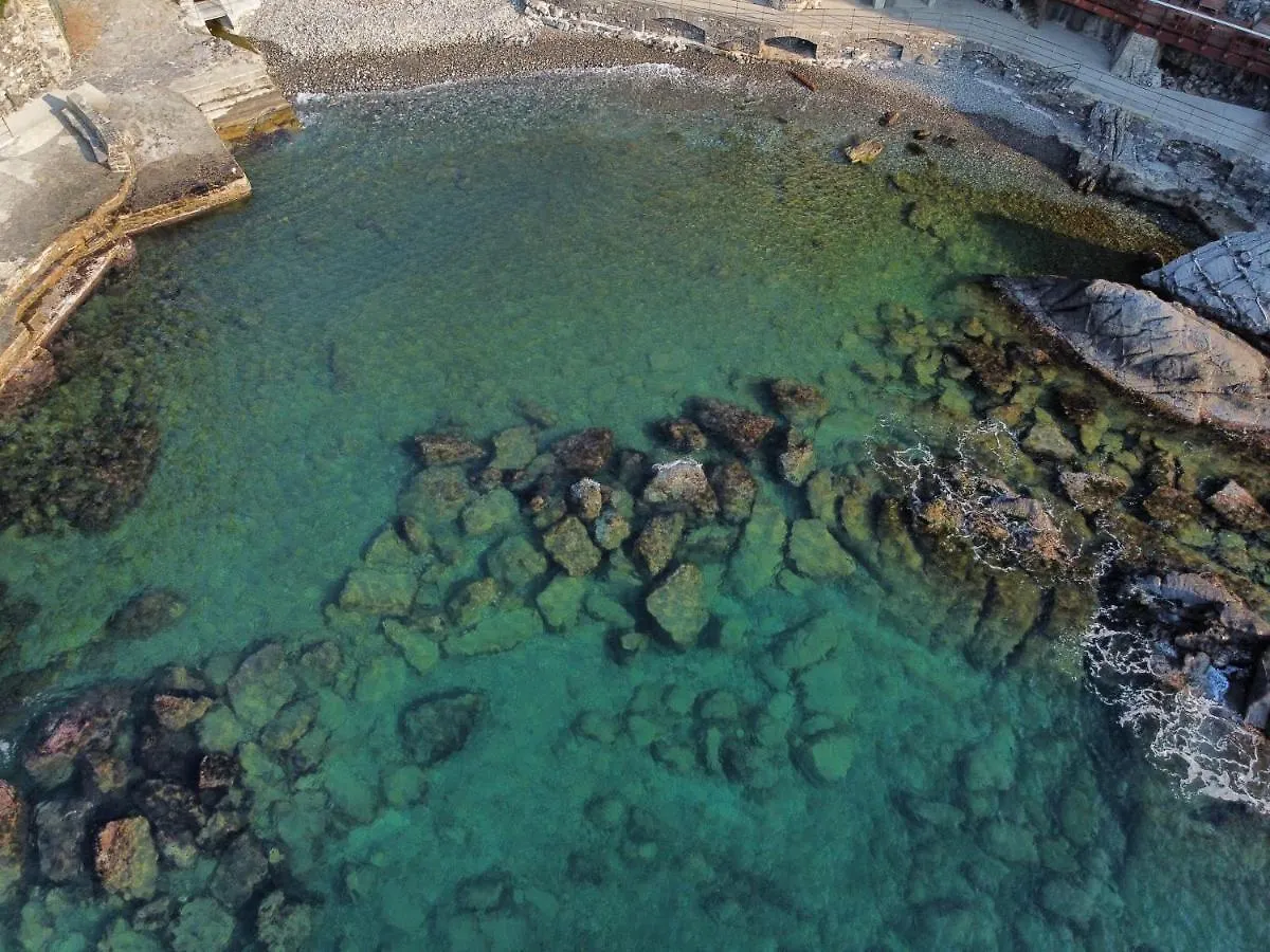 La Terrazza Sul Mare Apartment Zoagli