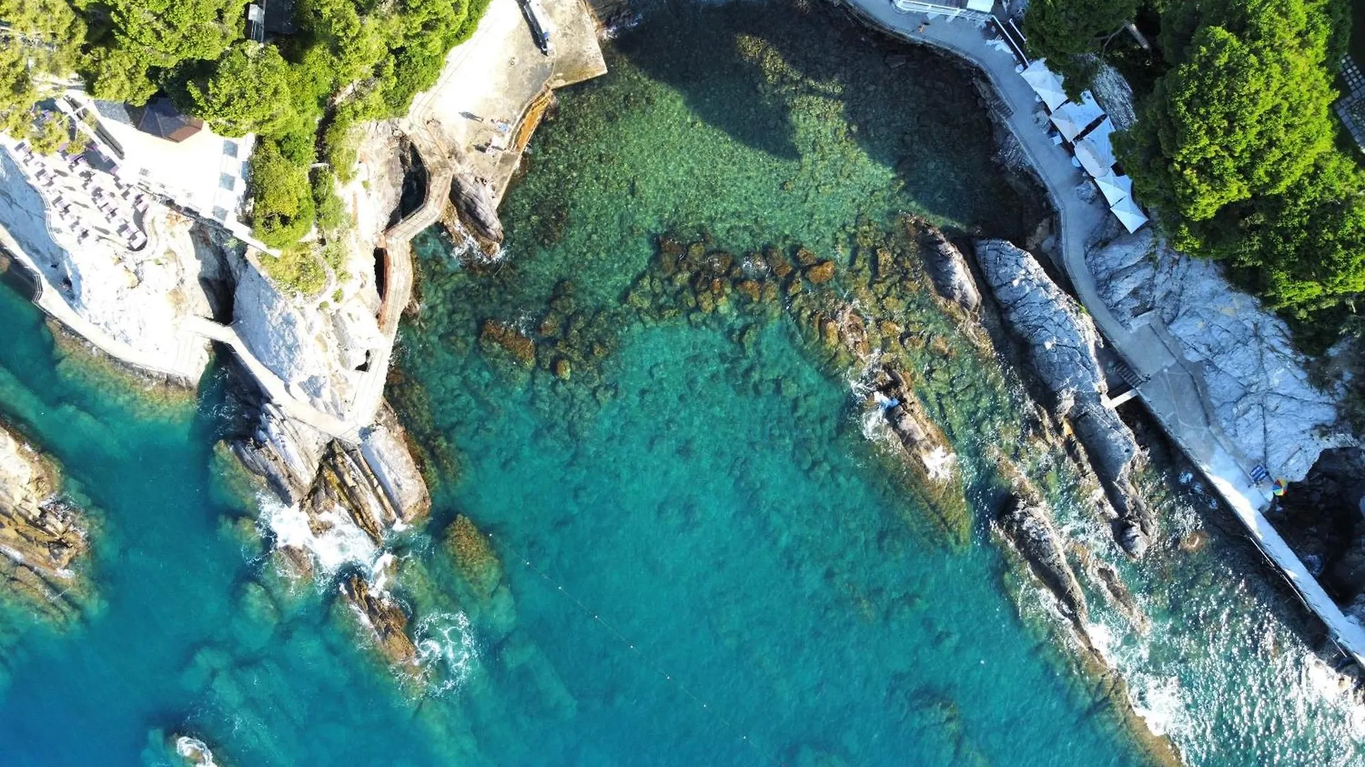 La Terrazza Sul Mare Apartment Zoagli